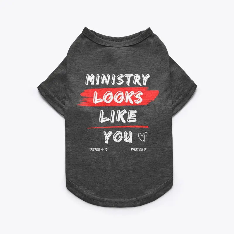 MINISTRY LOOKS LIKE YOU